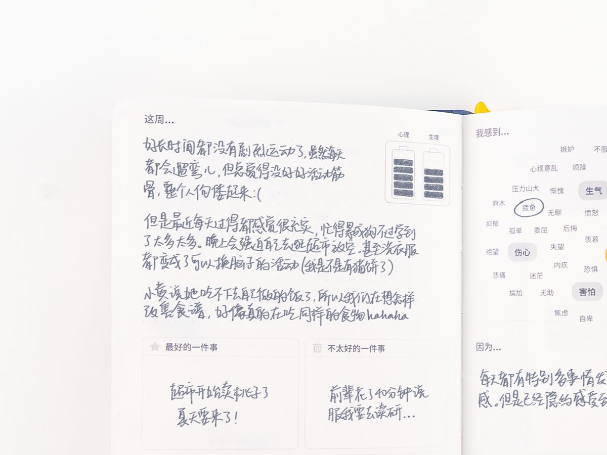 A week written in by hand, its bar charts filled and moods marked on the facing page.