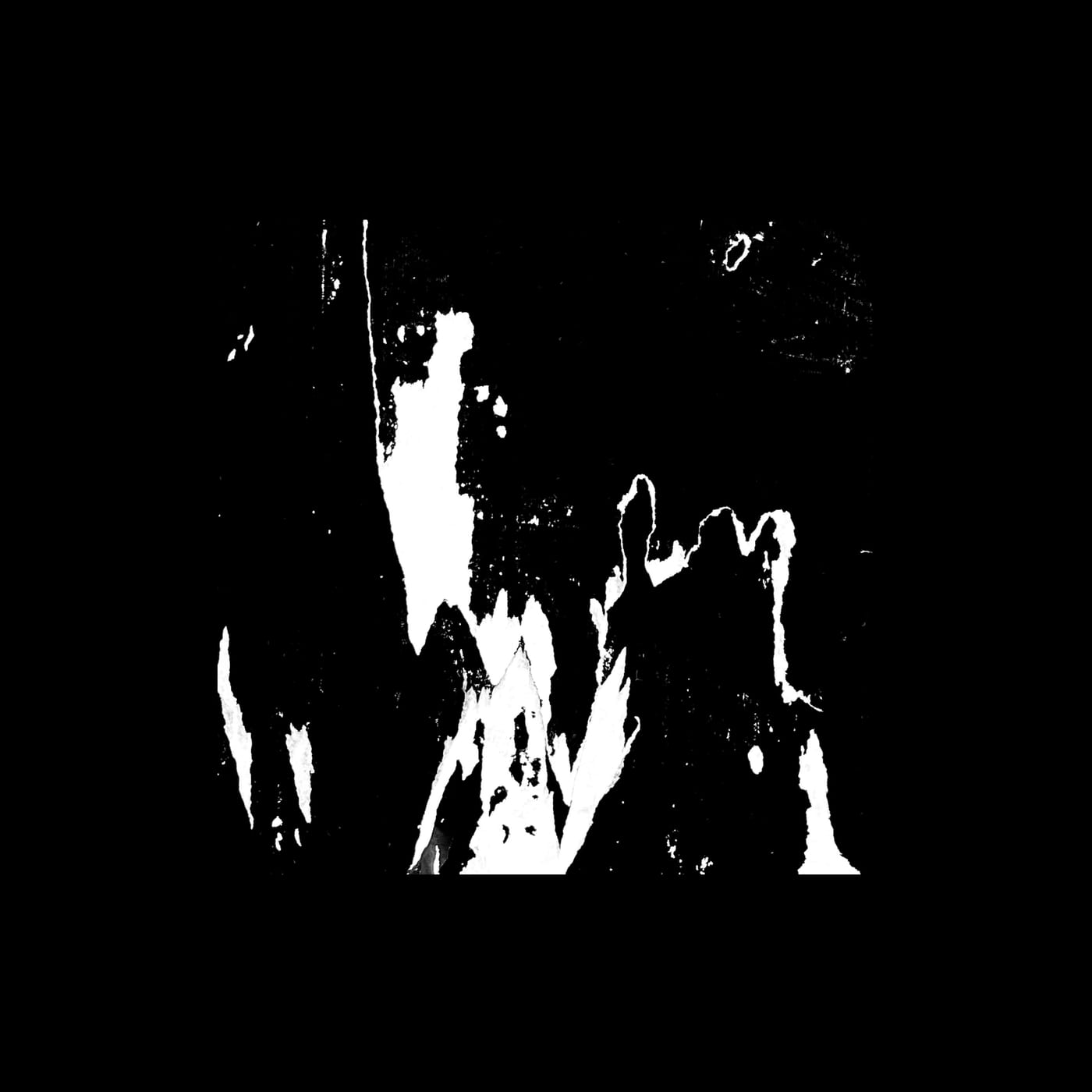 Torn white shapes standing out of a black ground.