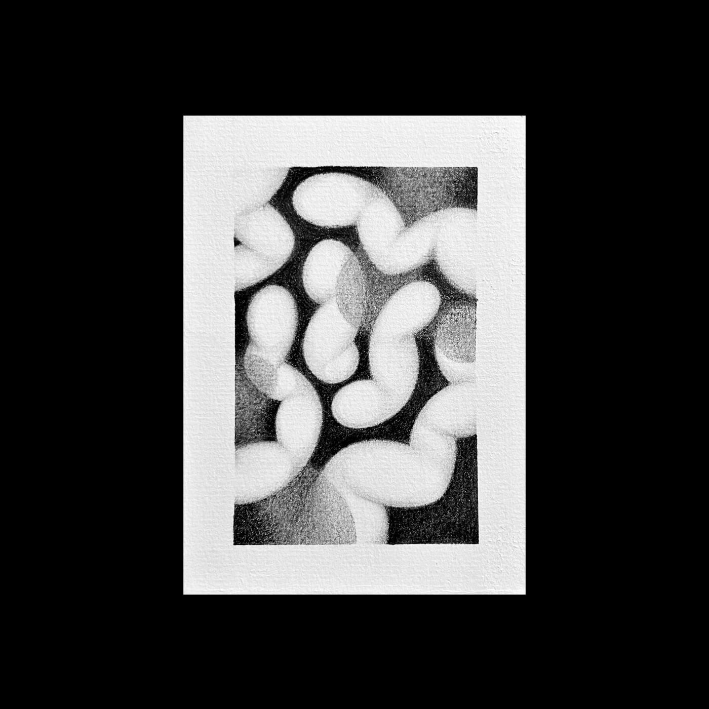 Pale ribbons tangling over a black ground inside a white border.