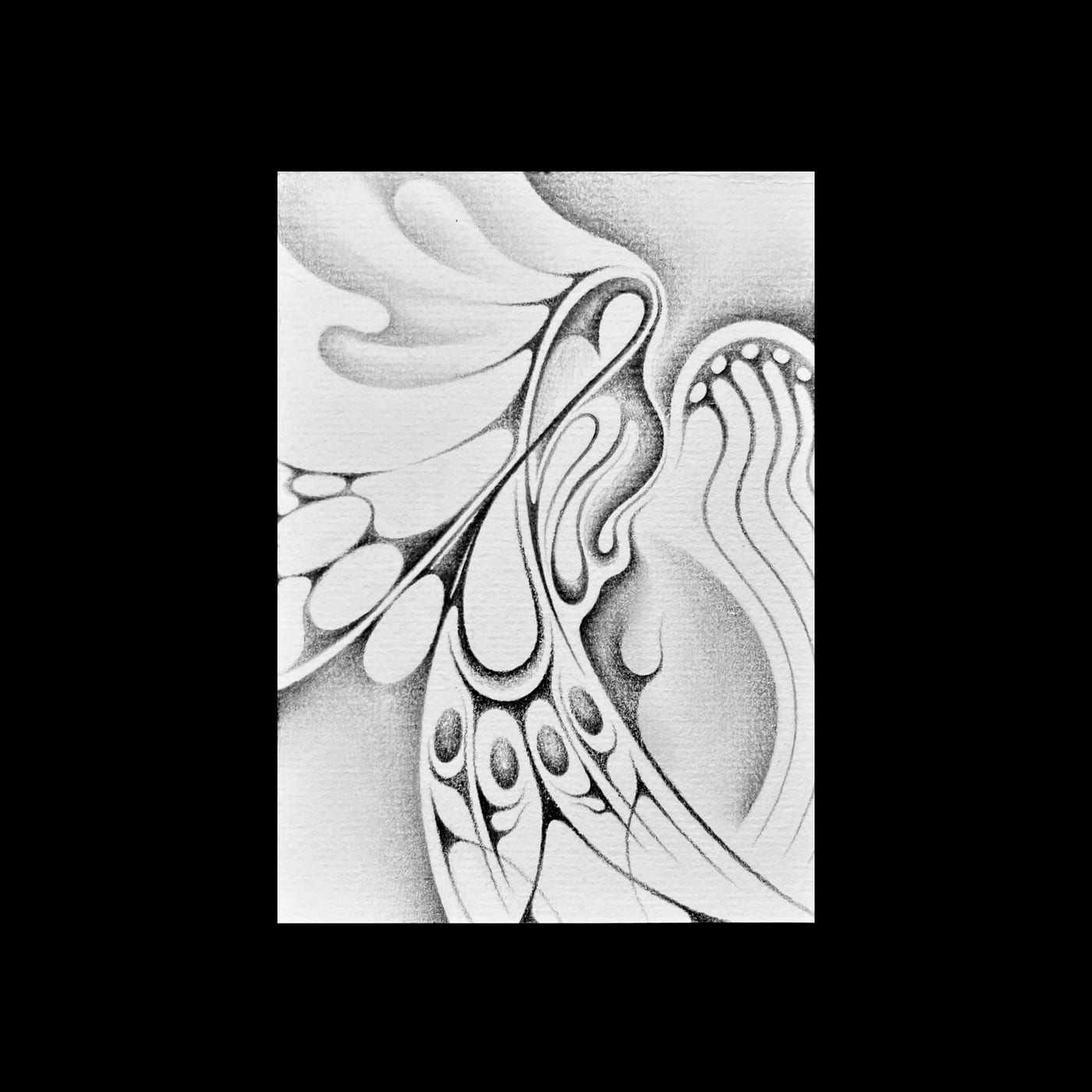 A winged form built from tapering blades and rows of small dots.